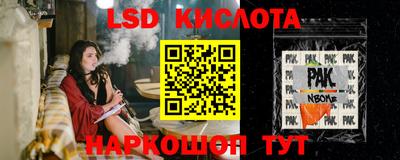 стаф Заводоуковск