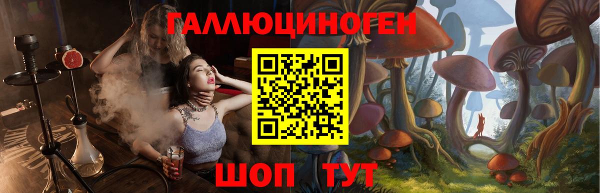 Галлюциногенные грибы Psilocybe  Вход с VPN  Михайловка 